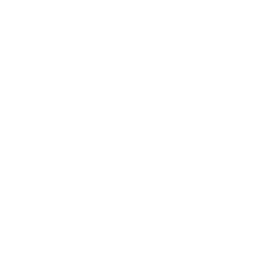 Servicios